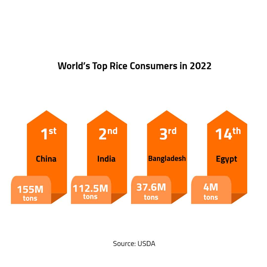 World’s Top Rice Consumers in 2022